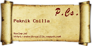 Peknik Csilla névjegykártya