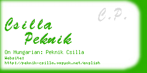 csilla peknik business card